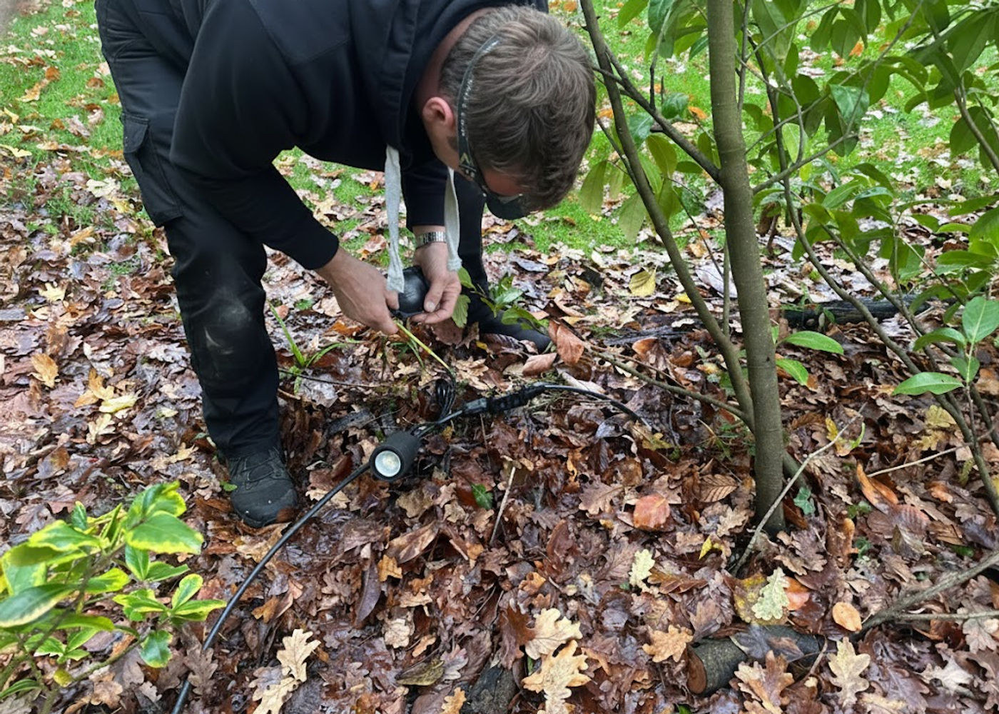 Garden Lighting Install &ndash; Horsham